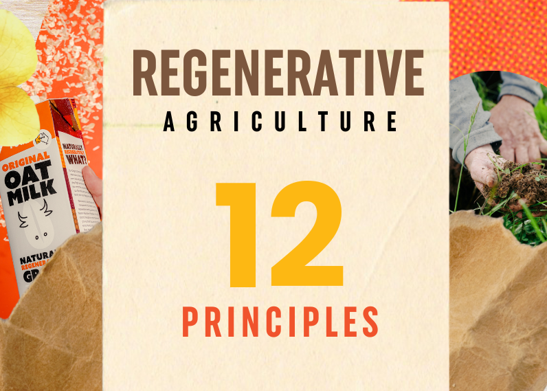 The 12 Principles Of Regenerative Agriculture — Dirty Clean Food