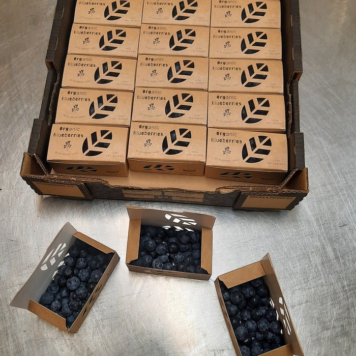 Certified Organic Blueberries - 125g punnet