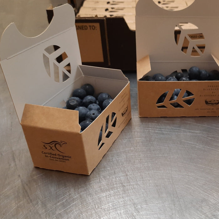 Certified Organic Blueberries - 125g punnet