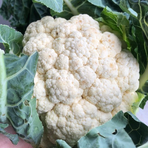 Certified Organic Cauliflower- 1.2kg